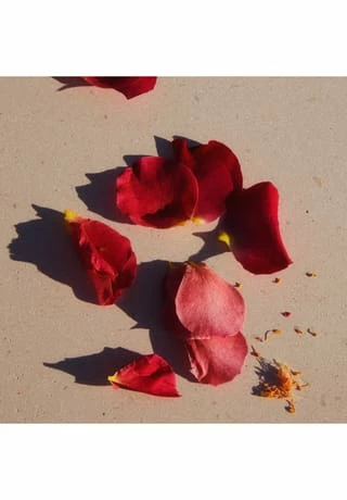 JIL SANDER Sunset 30ml – Bild 4