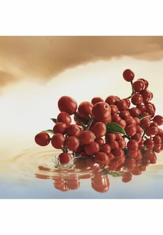 ESTÉE LAUDER THE LUXURY COLLECTION 100.0 ML – Bild 3