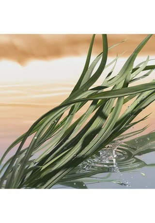 ESTÉE LAUDER LUXURY FRAGRANCES 40ml – Bild 5